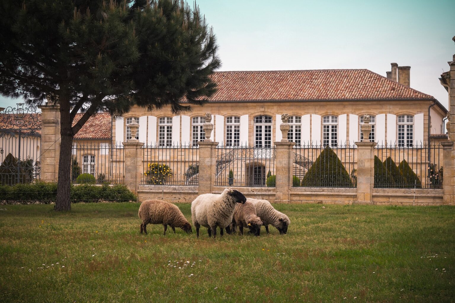 Château La Lagune 2021 main image 1